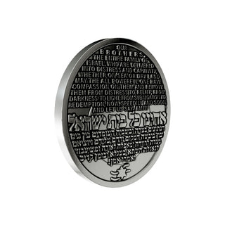 Operation Iron Swords Coin