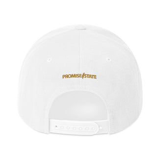 Classic Snap Back