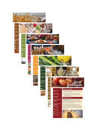 Biblical Festivals Study Sheets ( Bundle of 7 ) with Binder Ring