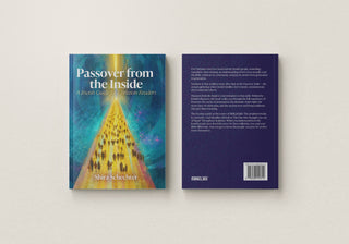 Passover from the Inside: A Jewish Guide for Christian Readers