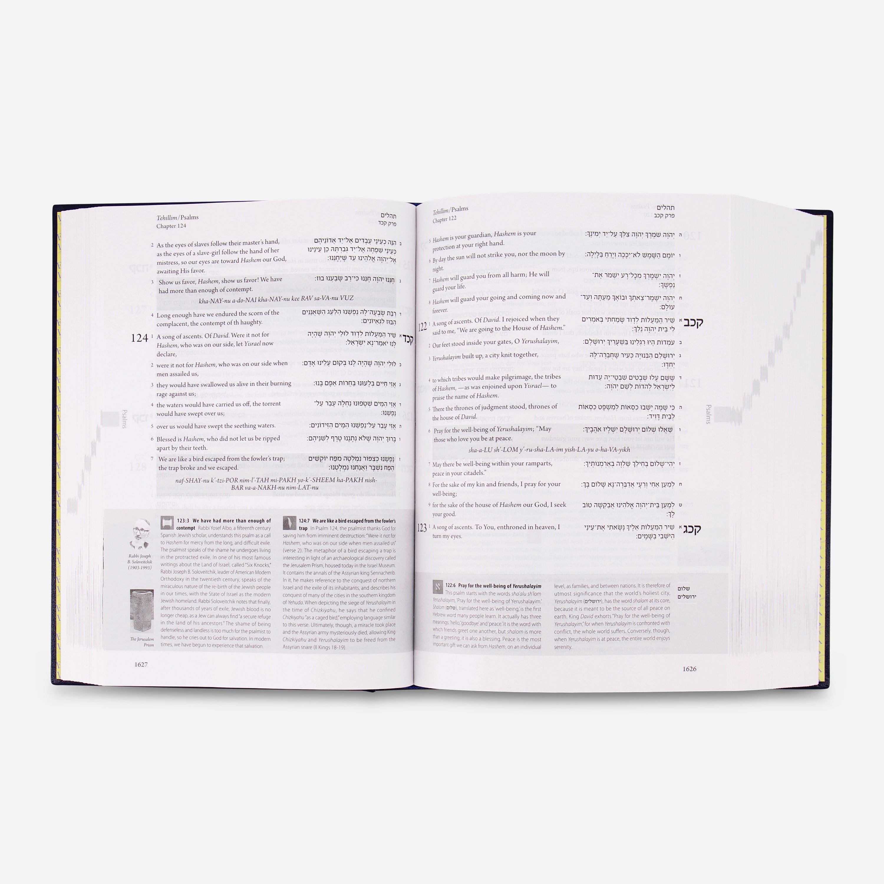 The Israel Bible - Hardcover – Israel365