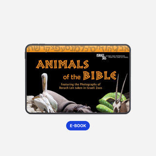 Animals of the Bible eBook