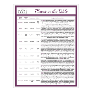 Places in the Bible Laminated Study Sheet