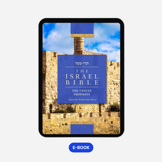 The Israel Bible - The Twelve Prophets - (Digital) Now in Color